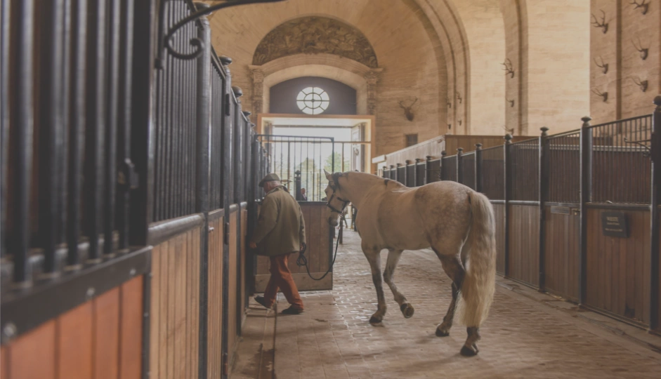 Risky business - de aansprakelijkheid van opfokstalhouders